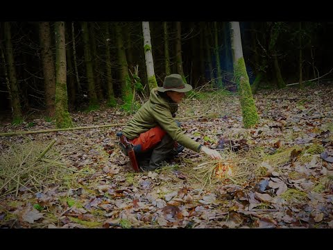 Die erste Bushcrafttour - Lagern im Wald - Eine bittere Enttäuschung - Vanessa Blank