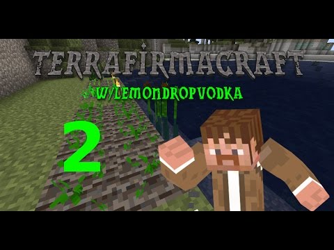 TerraFirmaCraft -- Episode 2 -- "House and Home"