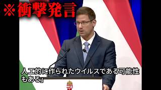 ホントそれ都市伝説なのに真面目に聞いてるほうが疲れるし楽しくないコヤッキーさんととーや君の二人でやってるから笑いながら見れる - 新たなパンデミックの可能性!?海外で発生したの謎の伝染病がヤバすぎる…【 都市伝説 海外ニュース ウイルス 】