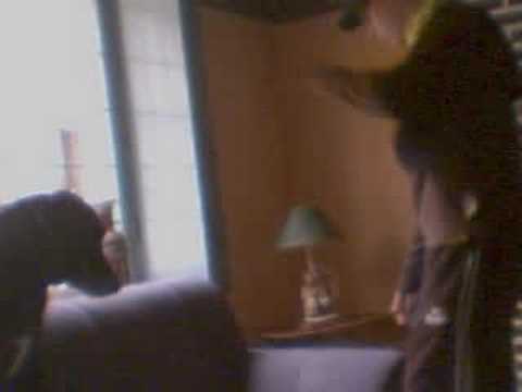 toiitoiine de la nivetek dance sur dj fozzie bear dust