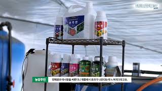 싱싱한~ 시설재배 딸기 키우기!_22.03.31 #딸기 #하우스 #시설재배 #친환경약제 #당도증진