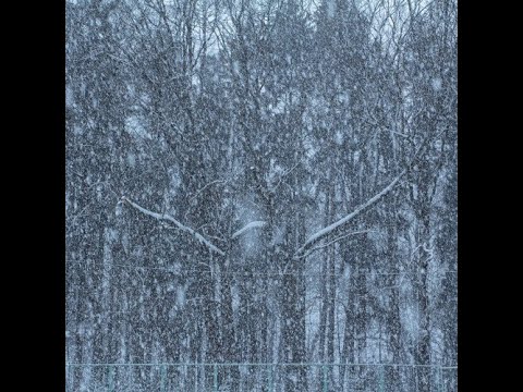 Sohsuke  - 夏は終る| PIANO SAMPLE