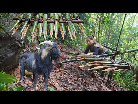 200 days of survival in the wild, trapping wild goats, trapping wild boars, survival alone