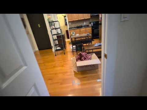 video 1