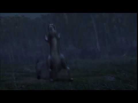 Donkey - I'm Melting! I'M MELTING!!!