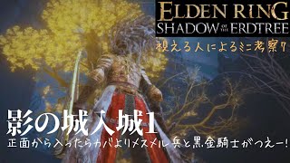 【エルデンリングDLC】#18 まったり実況 フロムあるあるモブつえぇーと正味2時間は迷子になっていた褪人