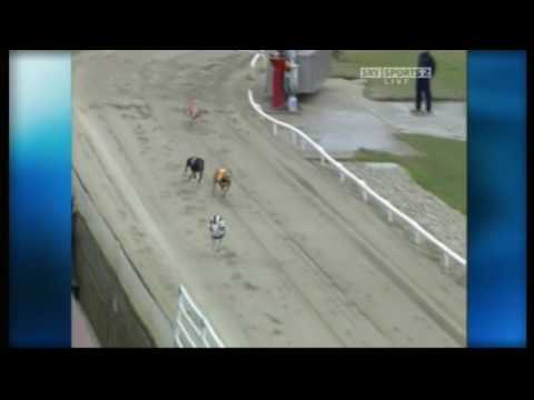 Ladbrokes Golden Jacket Final 2008