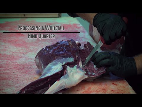 How to Remove and Break Down a Deer Hindquarter