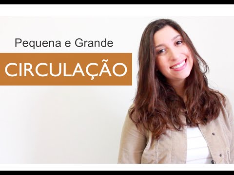 Sistema Cardiovascular 2/6: Pequena e Grande Circulação | Anatomia e etc.