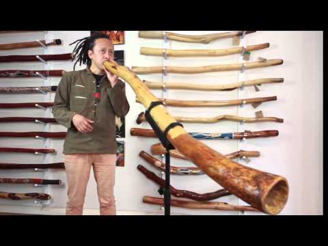 ellswood didgeridoo #1138