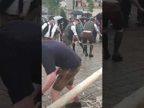 Dance and tree #schuhplattler  #mai #maypole #maibaum #dance#work