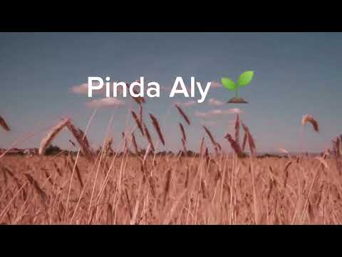 kudrat ki khubsurti ||beauty of nature