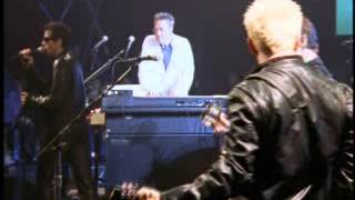 THE DOORS CELEBRATION WILD CHILD