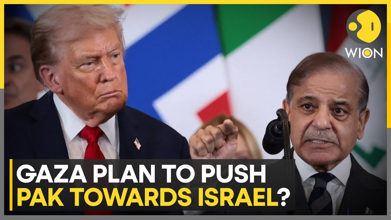 Pakistani Journalist Makes Big Claim, Says Gaza Peace Plan May Push Pak Towards Israel | WION