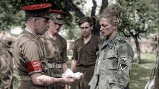 O Maior Erro do Exército Alemão em 1943 | Dr. Robert Citino