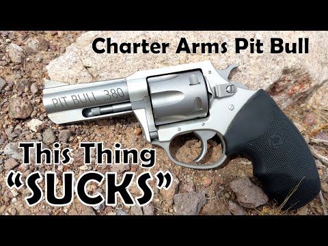 Worst Revolver Ever Made? Charter Arms Pit Bull .380 ACP Revolver - It Drew Blood - TWICE!