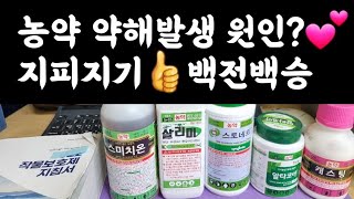 농약 약해 원인은 어떤 것이 있을까요?(답글영상) 