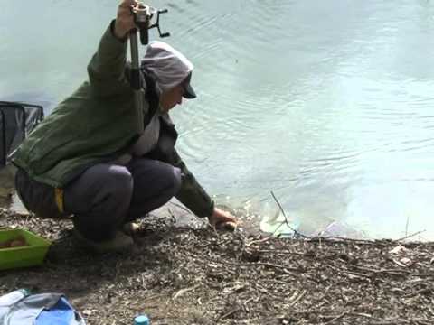 Balta de la Oniscani 2011