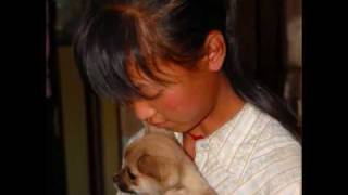 Project Orphan Blessing