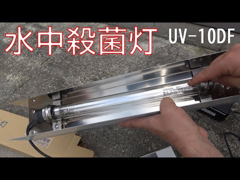 園芸 池の紫外線濾過