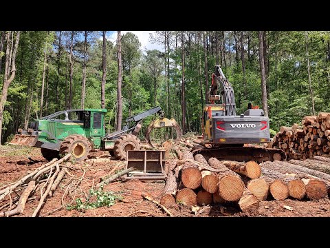 Logging Has Started On The Road Project!