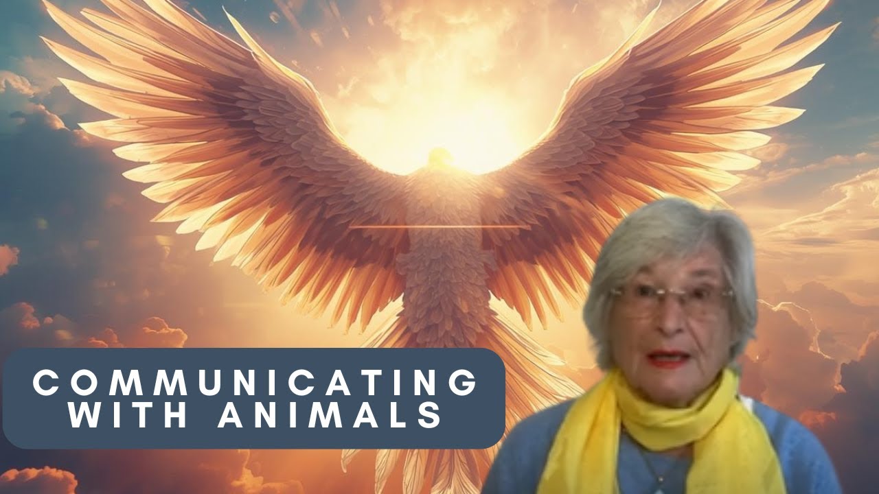 Communicating with Animals