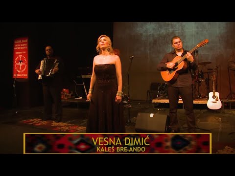 VESNA DIMIĆ -  Kaleš bre Anđo (Uživo)