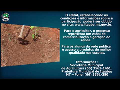 PREFEITURA DE ITAÚBA ABRE CHAMADA PÚBLICA PARA AQUISIÇÃO DE ALIMENTOS DA AGRICULTURA FAMILIAR