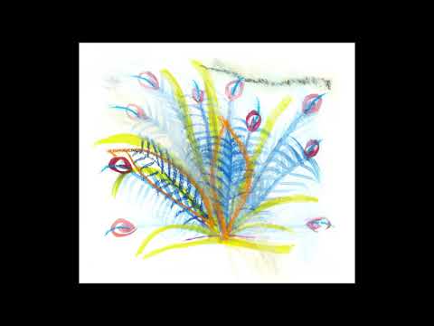 장명선 Jangmyungsun - 숲 Forest