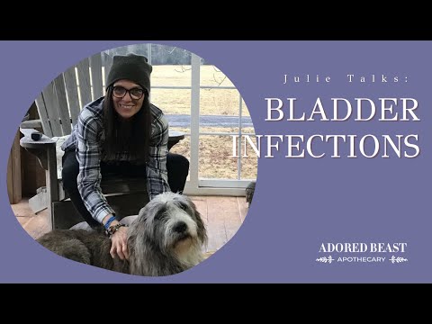 Bladder Infections in Dogs and Cats