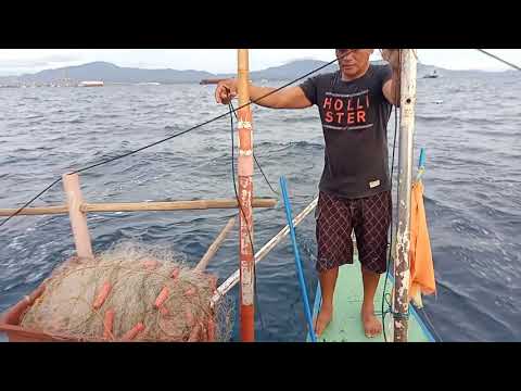 matambaka fishing at bauan bay batangas