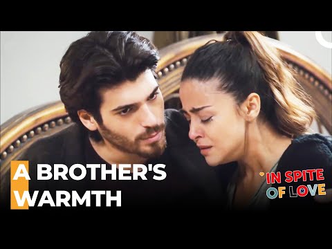 I'll Live With You Forever, Brother! - In Spite Of Love Episode 60