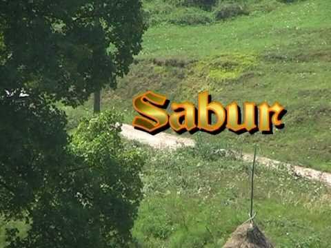 Film Sabur
