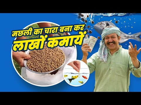 Fish Feed Making Machine