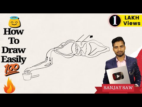 How to draw Reflex Arc step by step for Beginners ! Video