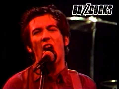 Buzzcocks - Boredom (live)