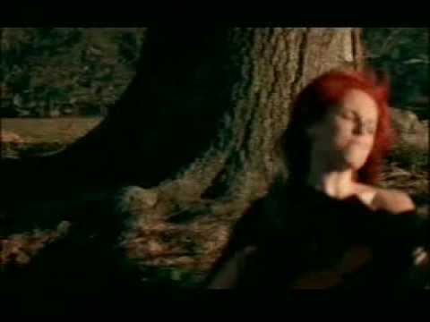 France D'amour   Le Coeur Est Un Oiseau