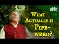 What Actually Is Pipeweed