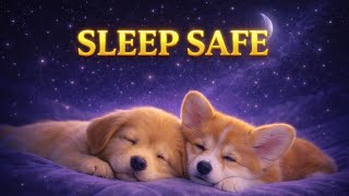 Dog Scared at Night? Calm Them Instantly 🐶 Sleep Music for Anxiety