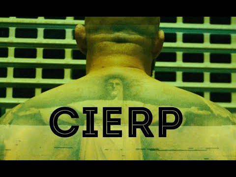 PAL SECAM - Cierp feat. Miodu [JuNouMi EP vol.5]