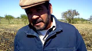 Las Toscas - Pcia Santa Fe los obresos del surco, en la caña de azucar