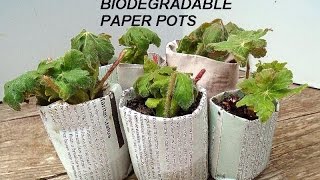 DIY-BEST Biodegradable newspaper pots, plant seeds or cuttings, MONEY MAKING IDEA