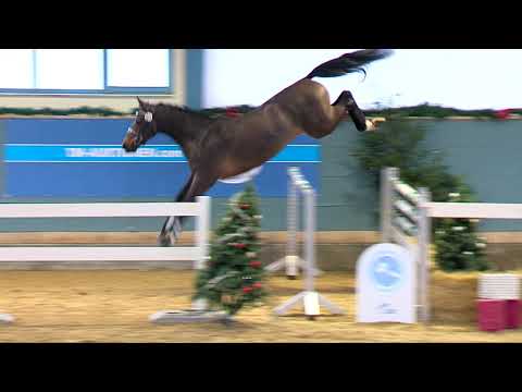 A la Carte NRW x Balou du Rouet