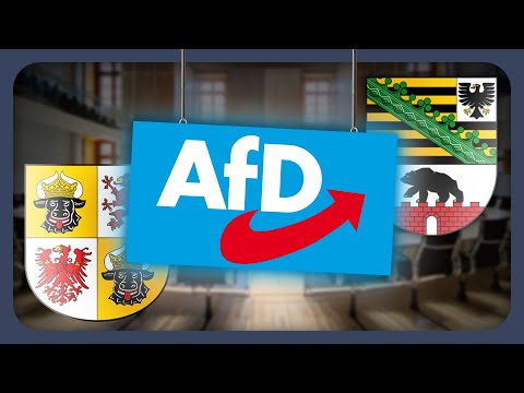 Das könnte passieren, wenn die AfD regiert | Landtagswahlen 2026