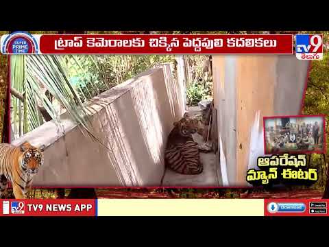 Super Prime Time : ఆపరేషన్ మ్యాన్ ఈటర్ -TV9