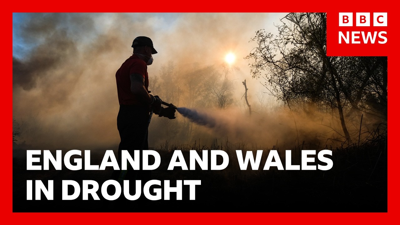 Video: UK fire services battle major wildfires in South Wales, Hampshire, Cambridgeshire and West Midlands amid drought