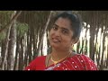Jeevanulla Kallamella FMPB Video Album Vande Matharam