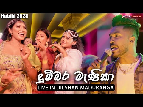 🟣 Dumbara Manika (දුම්බර මැණිකා) - Dilshan Maduranga Live in HABIBI 2023 | VIRASH PRODUCTION | OLDS