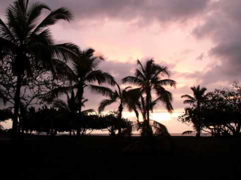 APOLONIA - fé pas semblant 974