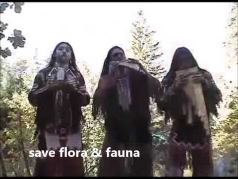 Inka Karal -Buffalo White